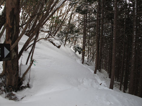 20140211hike (191)